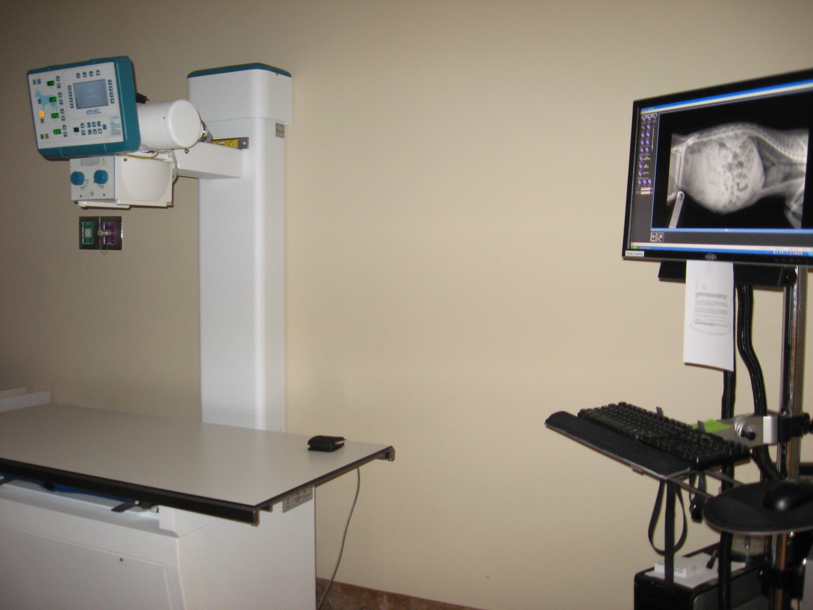 Radiology & Ultrasound